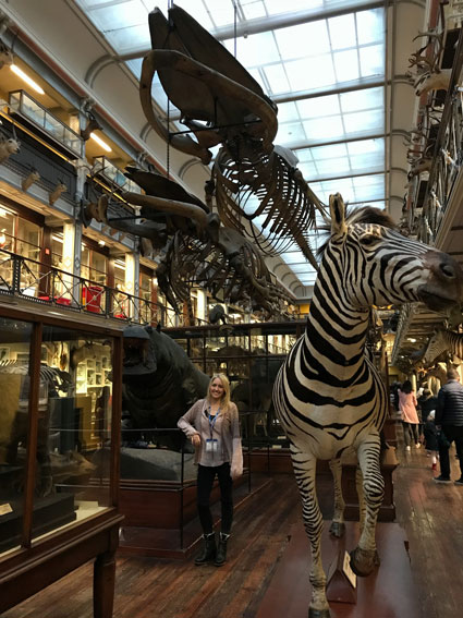 JD Whitman at the National Museum of Ireland-Natural History