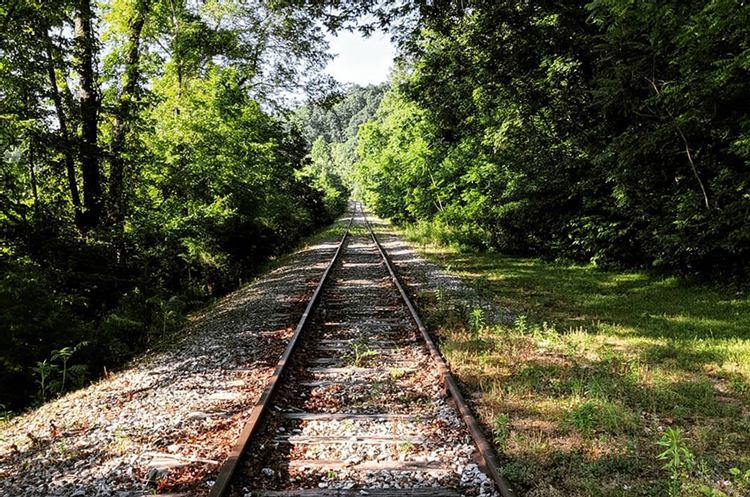 Julia Lucas: Running doesn't need to be lonely. Certainly it shouldn't always be. You know that. I know that many of you, like me, have found some of the closest bonds of your lives through miles shared in joy and in pain.