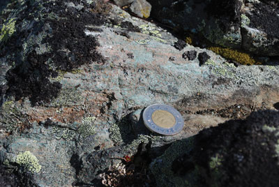 A close-up of eclogite, the type of rock studied by Meredith Petrie.