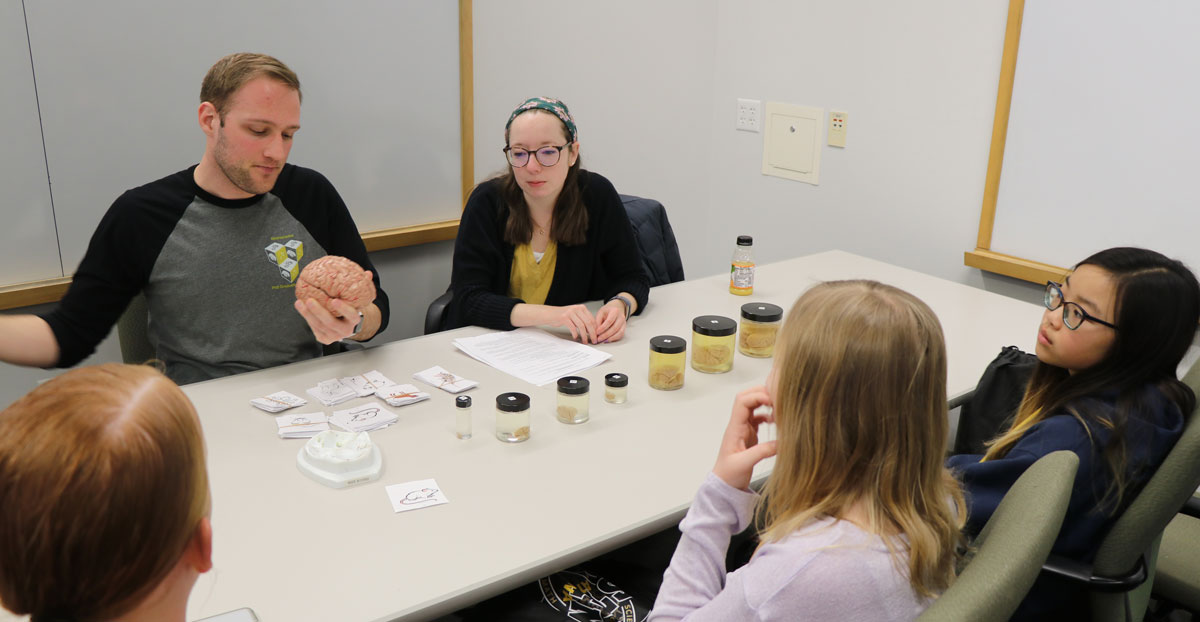 Neuroscience PhD candidate Tim Skog displays a brain model to participants at the Kids Go STEM event.