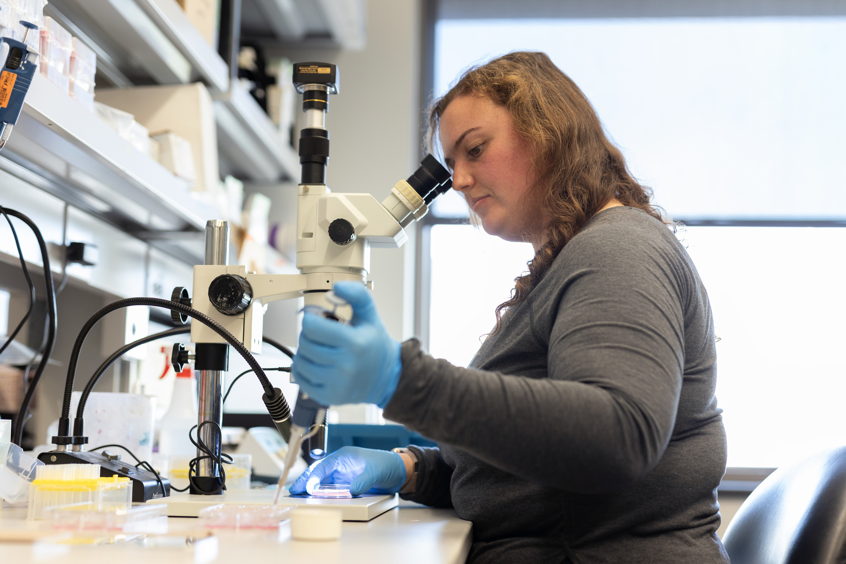 Kristen Rohli conducts research in her lab.