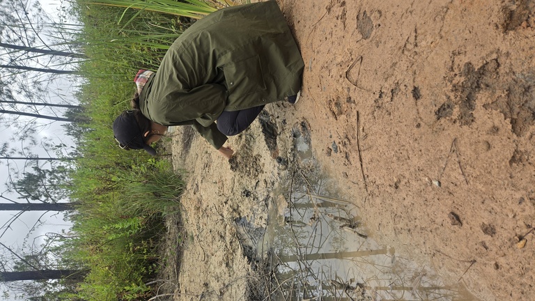 Casey Clay Collecting