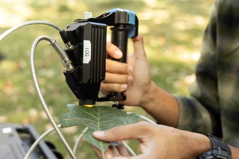 Mainul Islam uses a spectrometer to check for bur oak blight