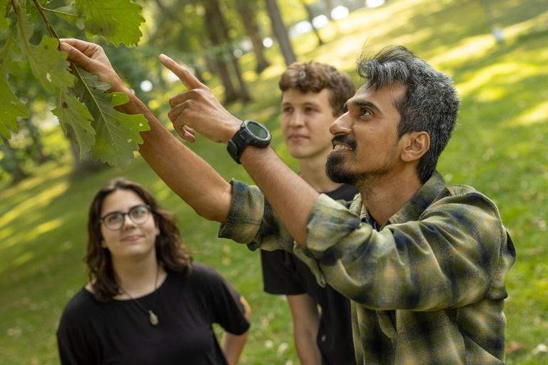Mainul Islam with undergraduate mentees studying bur oak blight